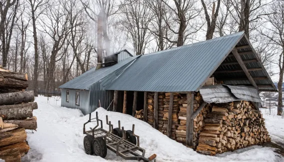 Équipement forestier en opération au Saguenay-Lac-Saint-Jean