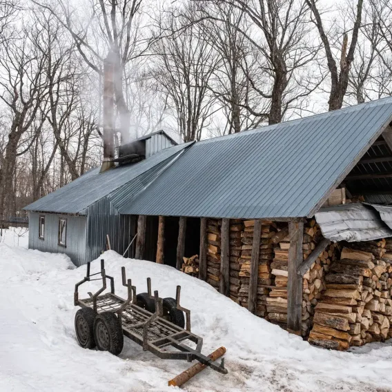 Équipement forestier en opération au Saguenay-Lac-Saint-Jean