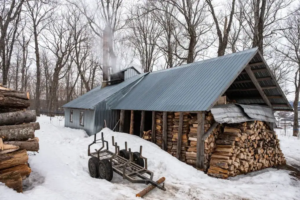 Équipement forestier en opération au Saguenay-Lac-Saint-Jean